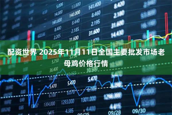 配资世界 2025年11月11日全国主要批发市场老母鸡价格行情
